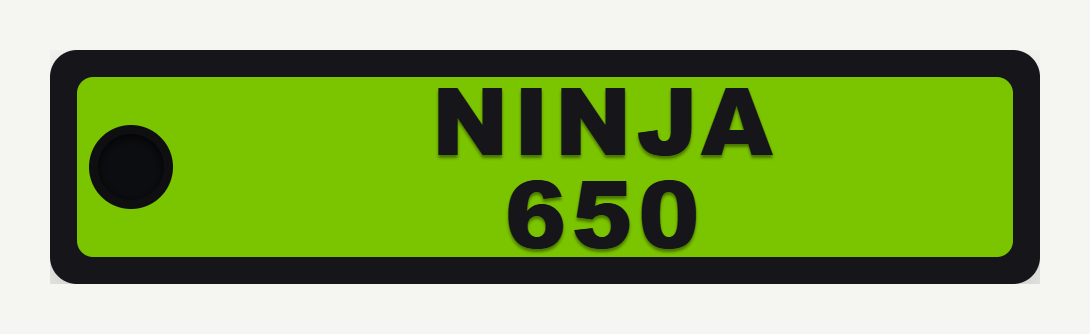 Lime green Ninja 650 personalised keyring design matching Kawasaki tank colours